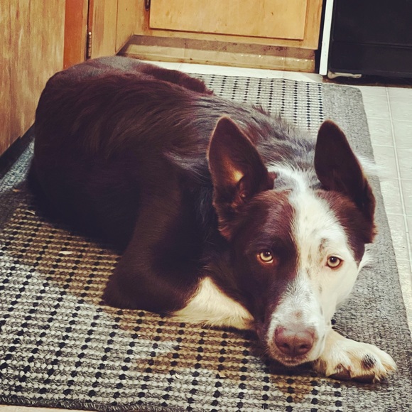 ✨LIVE SHOW NOTIFICATION!✨ upcoming shows: Thursday 8/10 @2pm! Women’s mix XS-2X! - Picture 17 of 17